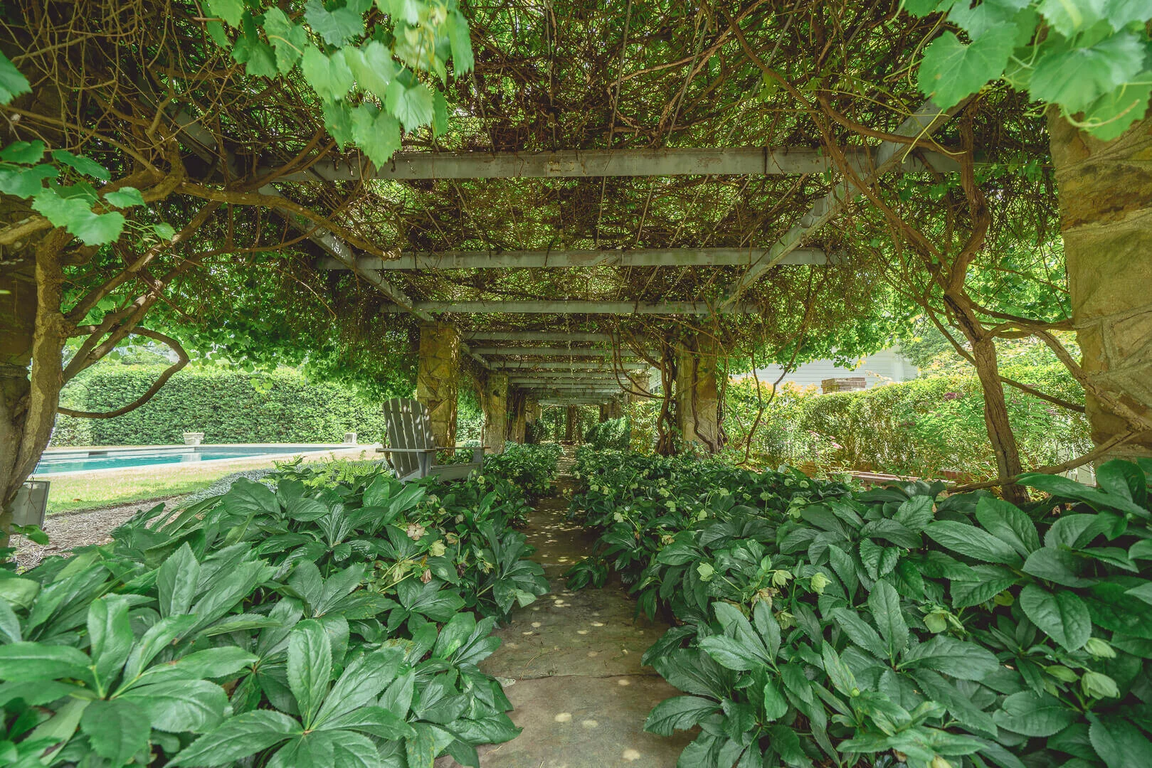 Bright Landscapes LLC